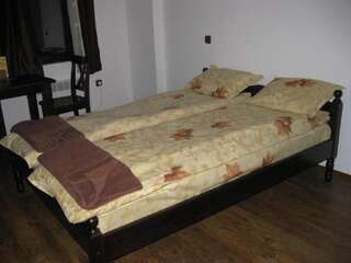 Гостевой дом Guesthouse Trite Kambani Баня Двухместный номер с 1 кроватью или 2 отдельными кроватями-7